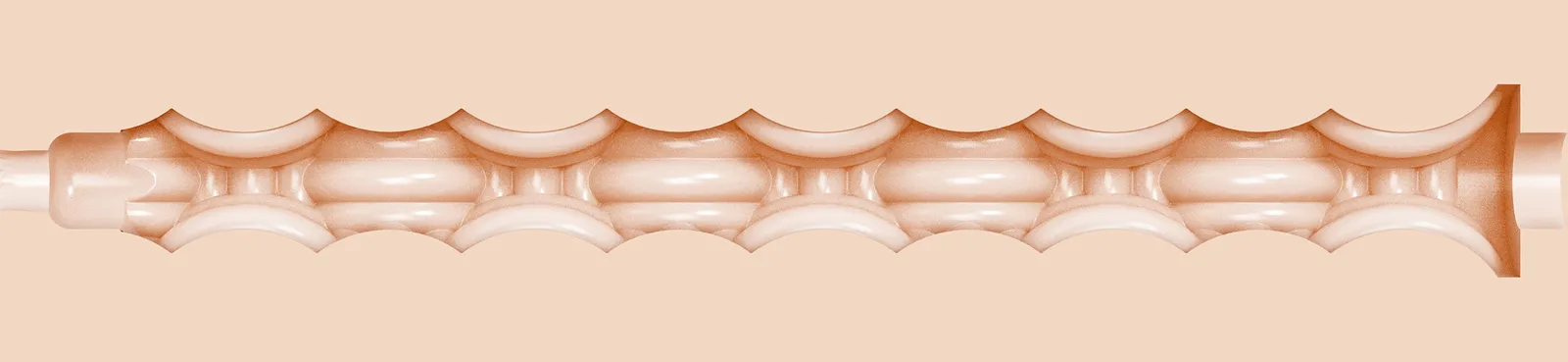 Savannah Bond Golden Sphincter internal texture cutaway